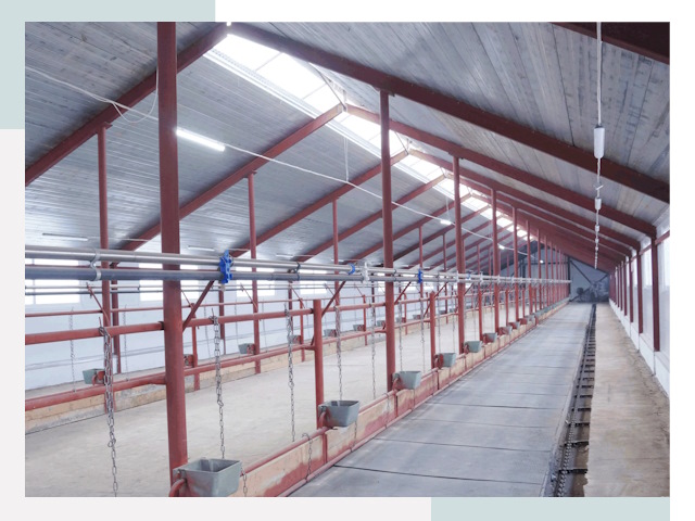 Строительство коровников в Сосновом Бору от 609 руб.