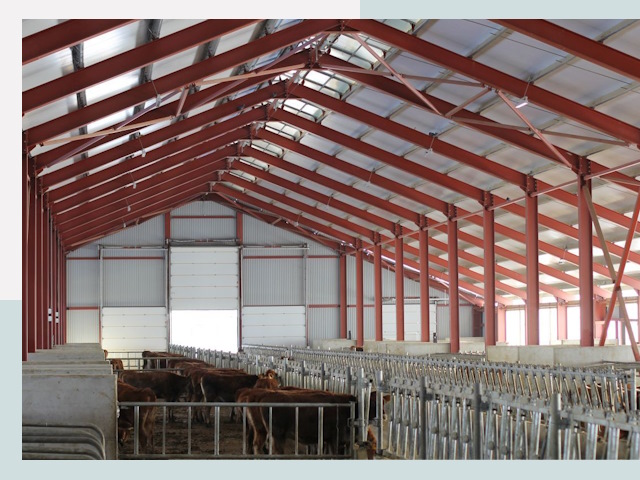 Строительство коровников в Сосновом Бору