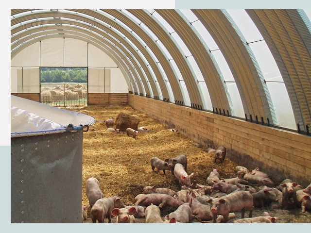 Строительство свинарников в Сосновом Бору