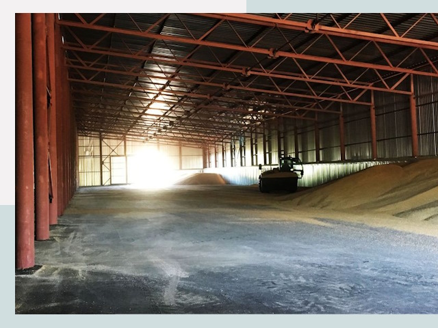 Строительство зернохранилищ в Сосновом Бору