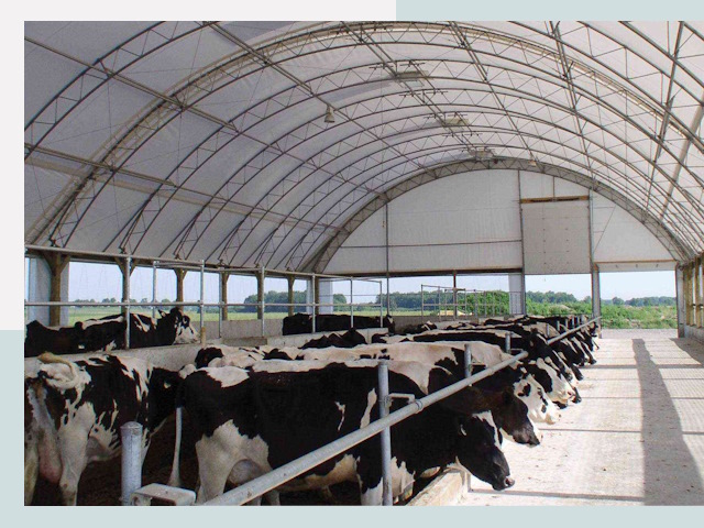 Тентовые коровники в Сосновом Бору